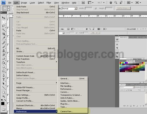 How to Open JPEG File Automatically in Photoshop Camera 