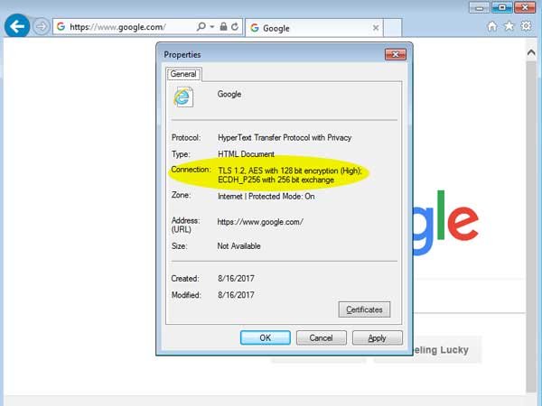Security Connection Details on Internet Explorer