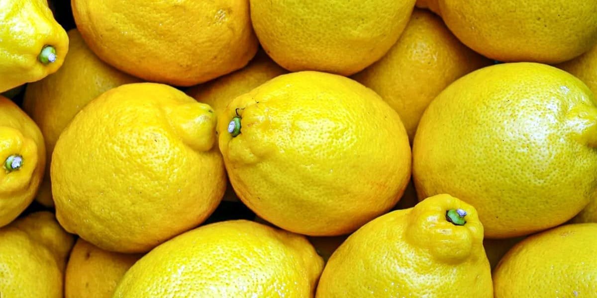 Khasiat Buah Lemon